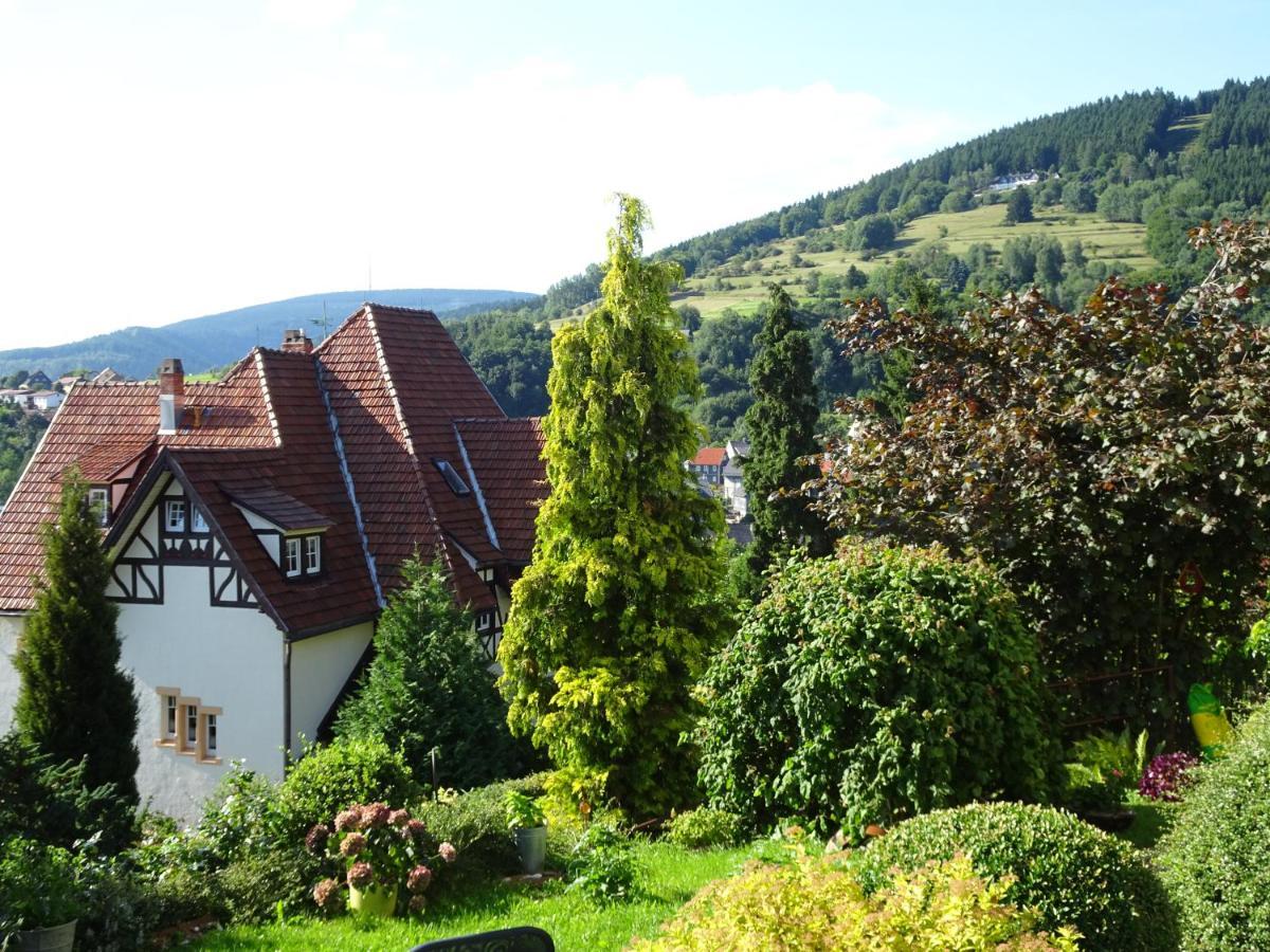 Ferienwohnung Panorama Rauenstein Dış mekan fotoğraf